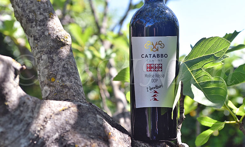 Molise Rosso I Diecettari 2019 Catabbo