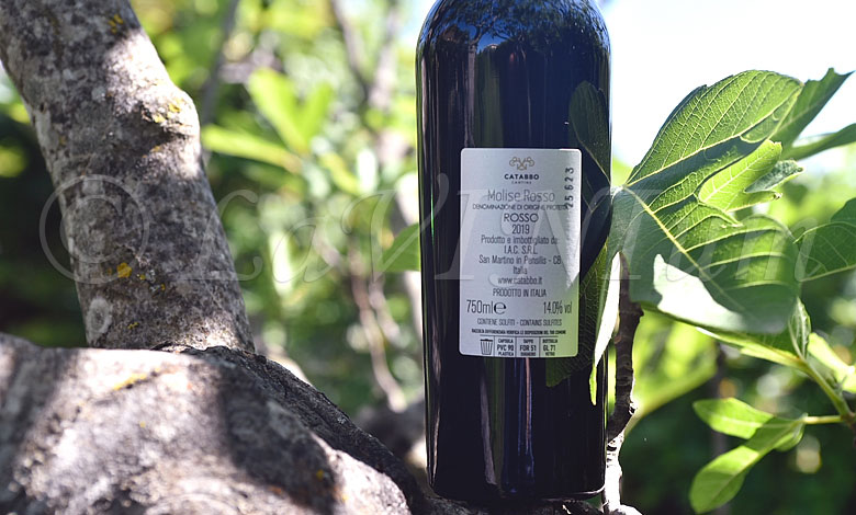 Molise Rosso I Diecettari 2019 Catabbo