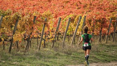 Sagrantino Running The Wine Trail 2024