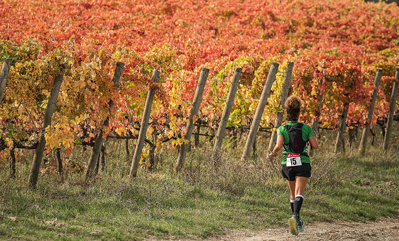 Sagrantino Running The Wine Trail 2024