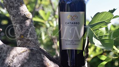 Tintilia del Molise Rosso Vincé Riserva 2018 Catabbo