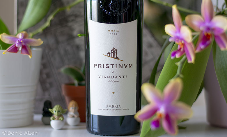 Rosso Pristinvm 2019 Viandante del Cielo