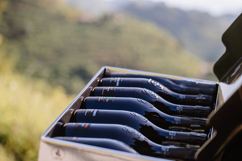 Collection Rive Line