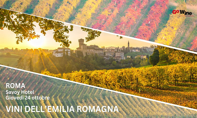Locandina Go Wine Vini dell'Emilia Romagna 2024