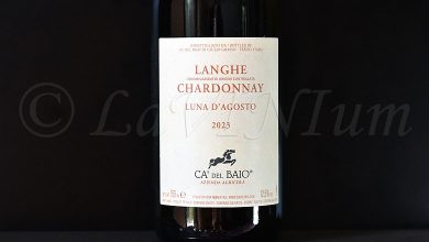 Langhe Chardonnay Luna d'Agosto 2023 Ca' del Baio