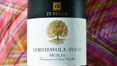 Sicilia Nero d’Avola – Syrah 2013 Di Bella