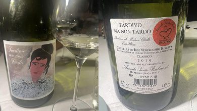 Castelli di Jesi Verdicchio Classico Riserva Tardivo ma non Tardo 2019 Santa Barbara