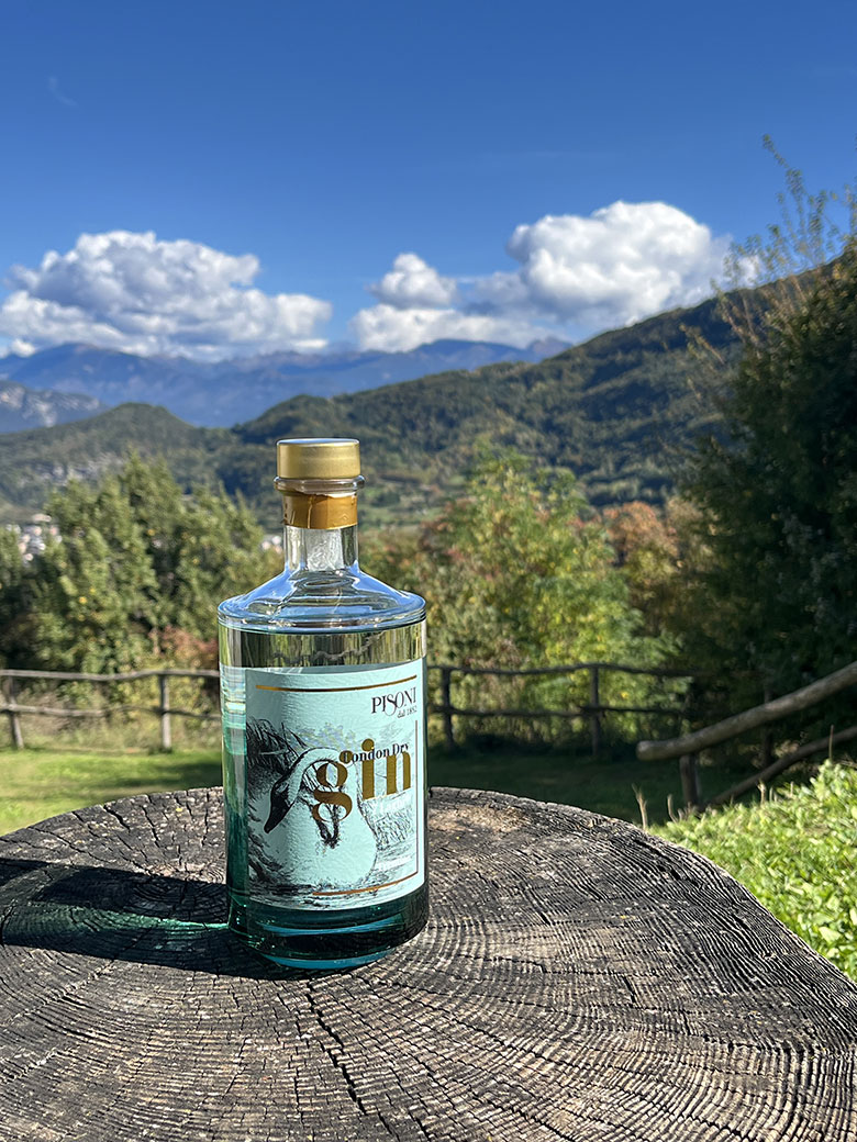 Il nuovo Gin 7 Laghi