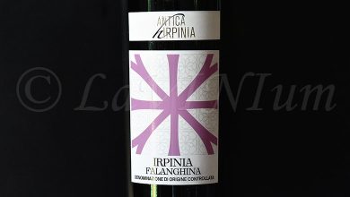 Irpinia Falanghina 2023 Antica Hirpinia