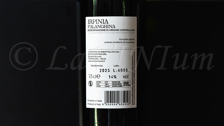 Irpinia Falanghina 2023 Antica Hirpinia