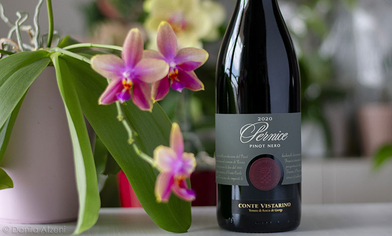 Pinot Nero dell'Oltrepò Pavese Pernice 2020 Conte Vistarino