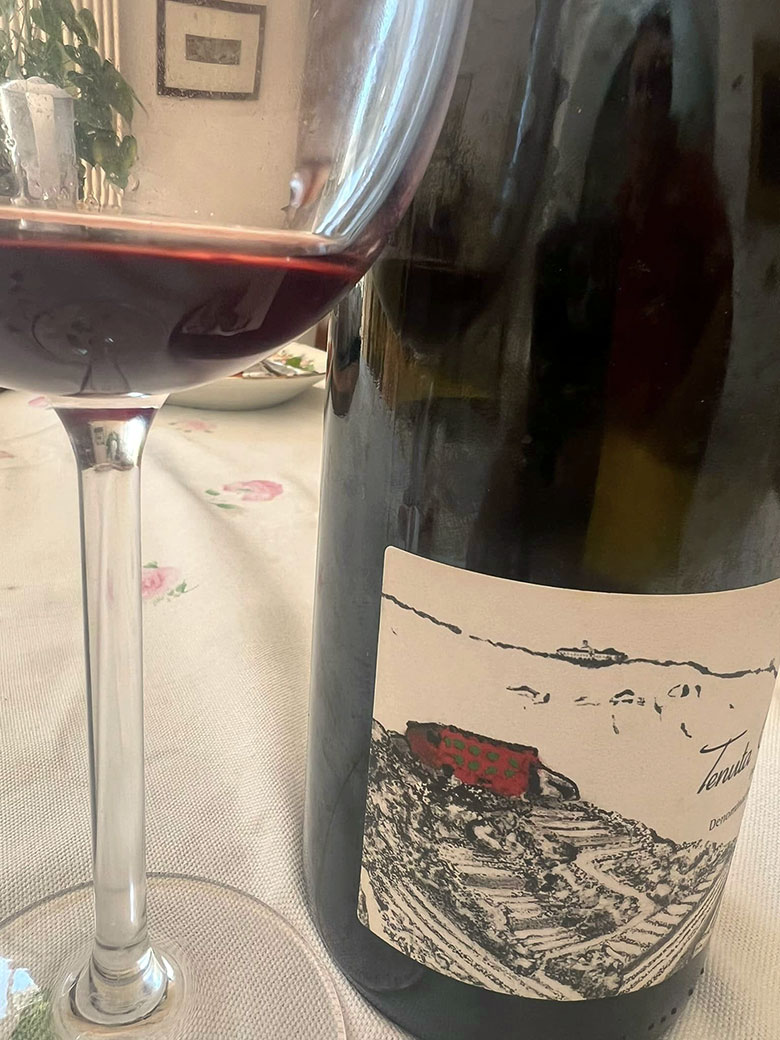 Campi Flegrei Piedirosso Tenuta Camaldoli 2011 Cantine Astroni