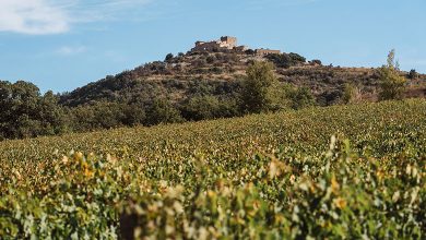 Terre Nere, Montalcino