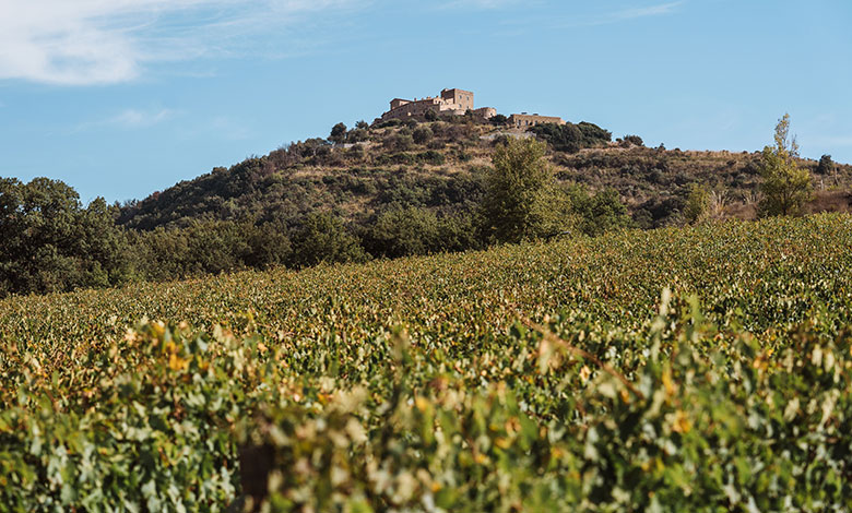 Terre Nere, Montalcino