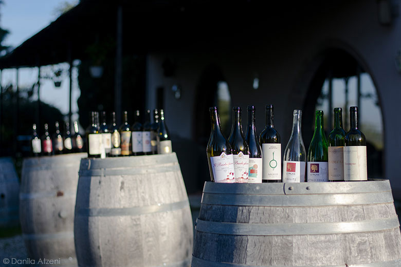 I vini in degustazione