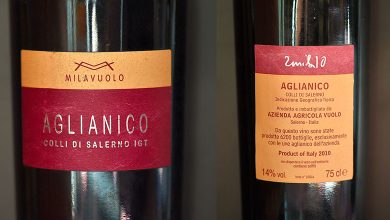 Aglianico 2010 Mila Vuolo