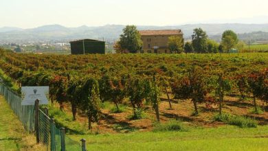 Tenuta Galvana Superiore
