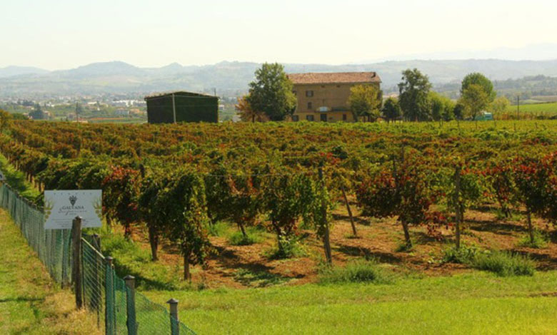 Tenuta Galvana Superiore