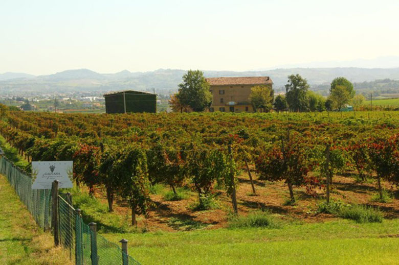 Tenuta Galvana Superiore