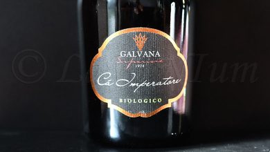 Lambrusco Grasparossa di Castelvetro Cà Imperatore Tenuta Galvana Superiore