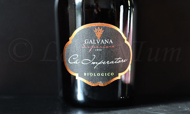 Lambrusco Grasparossa di Castelvetro Cà Imperatore Tenuta Galvana Superiore