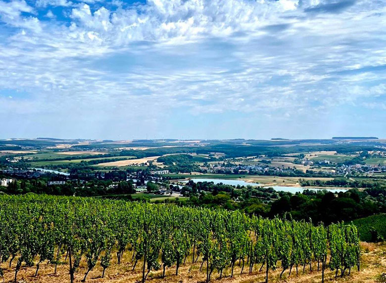 Vigneti in Lussemburgo