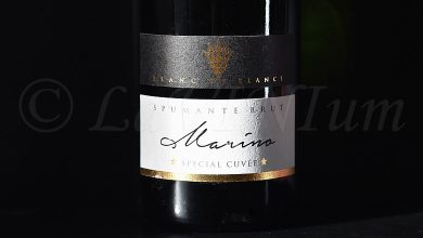 Marino Spumante Brut Metodo Classico Special Cuvée Tenuta Galvana Superiore