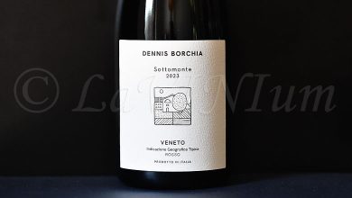 Rosso Sottomonte 2023 Dennis Borchia
