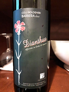 Dianthus 2021 Casetta Belvedere