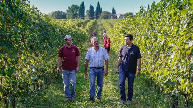 Fabio, Valerio e Paolo Zenato