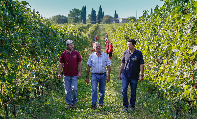 Fabio, Valerio e Paolo Zenato