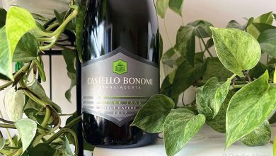 Franciacorta Brut Nature Cuvée 1564 2017 Castello Bonomi