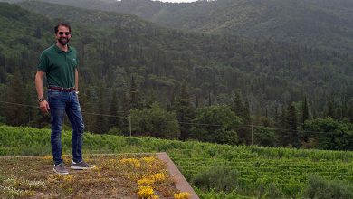 Alessandro Campatelli