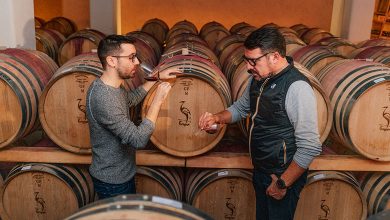 Mattia e Stefano Cavazza