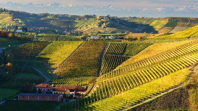 Antica Cascina dei Conti di Roero