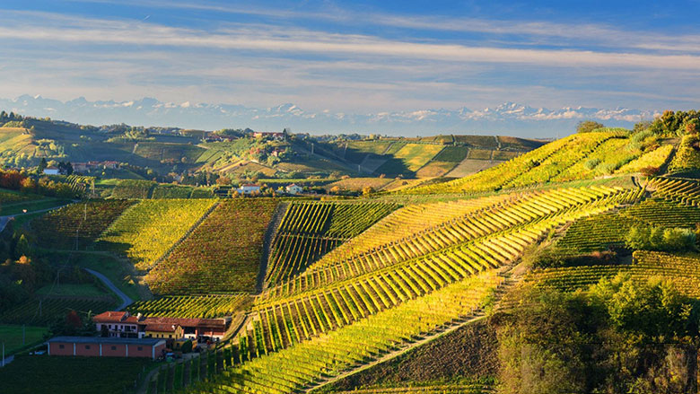 Antica Cascina dei Conti di Roero