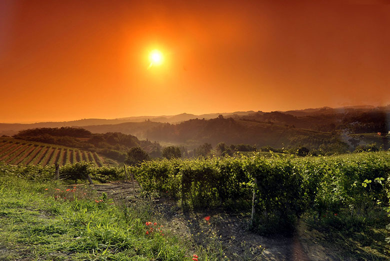 Antica Cascina dei Conti di Roero