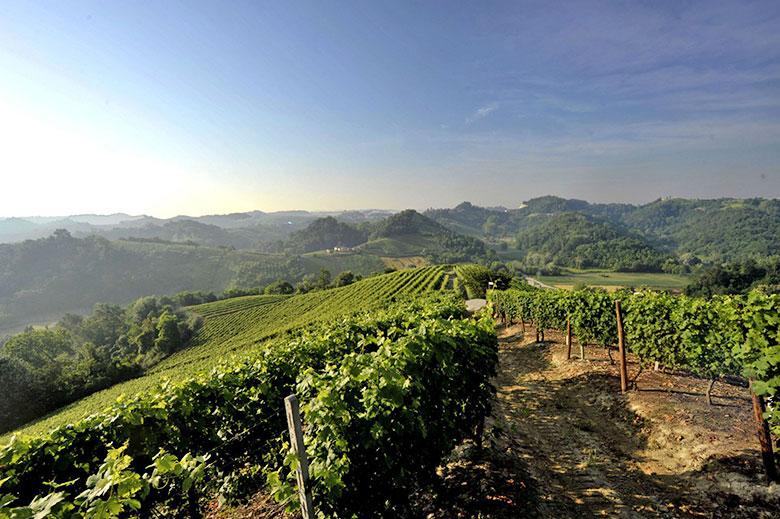 Antica Cascina dei Conti di Roero