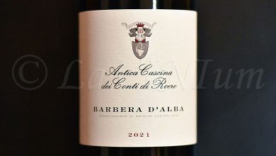 Barbera d'Alba 2021 Antica Cascina dei Conti di Roero