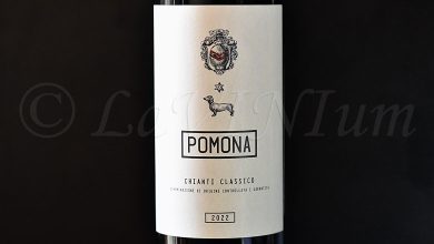 Chianti Classico 2022 Pomona
