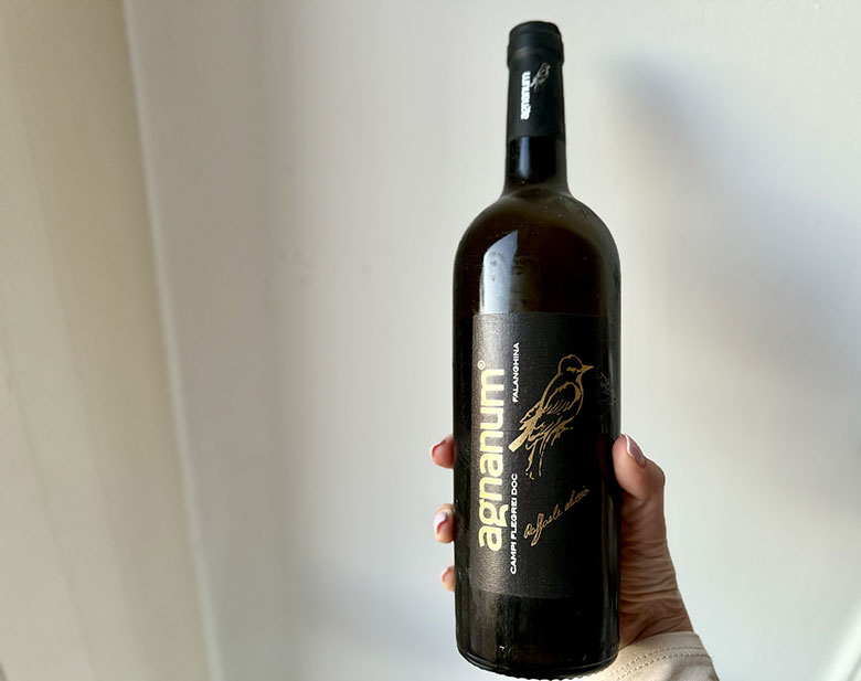 Falanghina Campi Flegrei DOC 2023 Agnanum