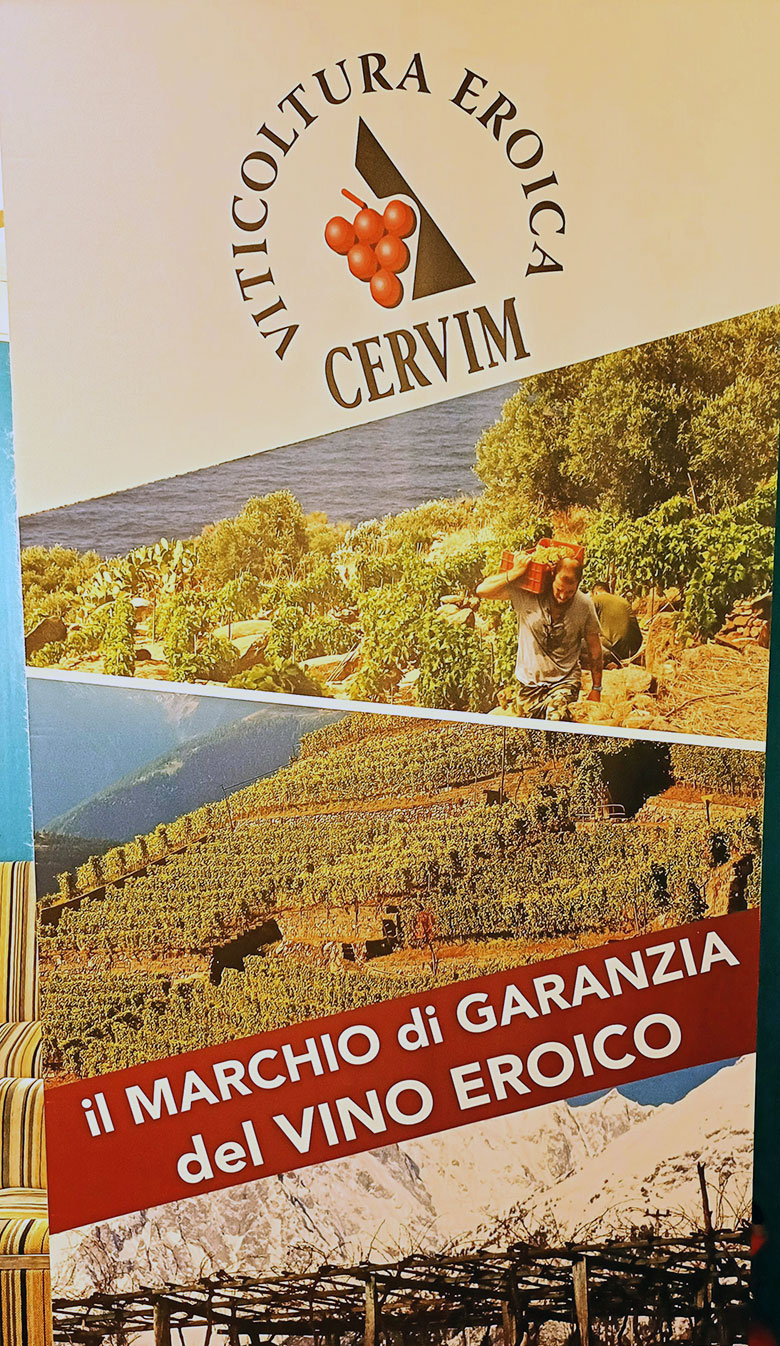 Locandina Cervim