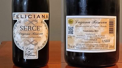 Lugana Sercè Riserva 2021 Feliciana