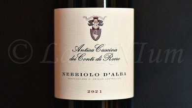 Nebbiolo d'Alba 2021 Antica Cascina dei Conti di Roero