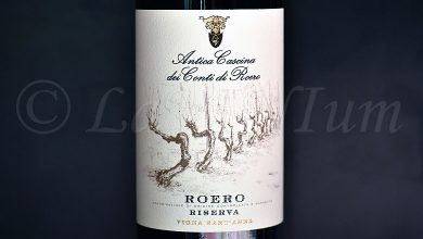 Roero Riserva Vigna Sant'Anna 2019 Antica Cascina dei Conti di Roero