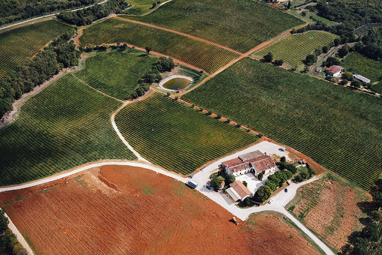 Tenuta Cicogna
