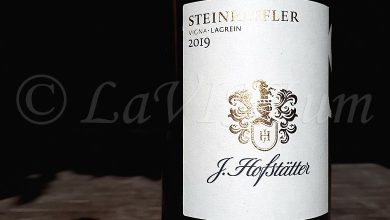 Alto Adige Lagrein Vigna Steinraffler 2019 Hofstatter
