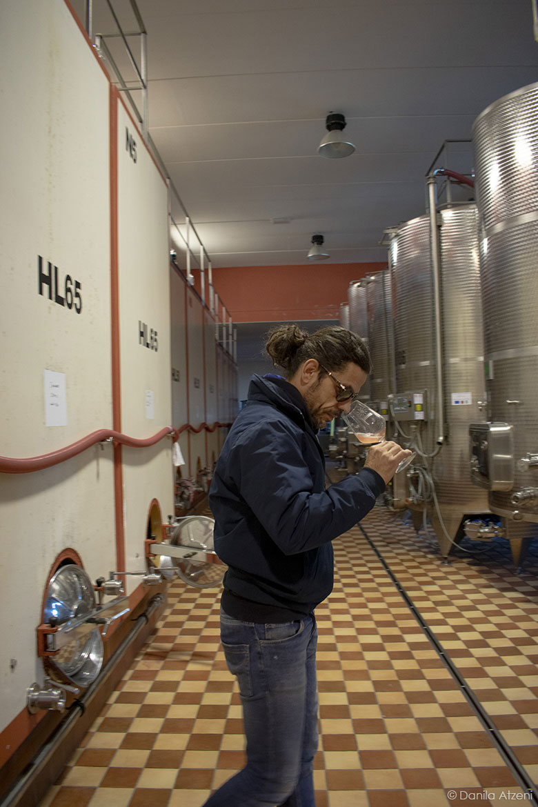 Nicola mentre esamina un vino