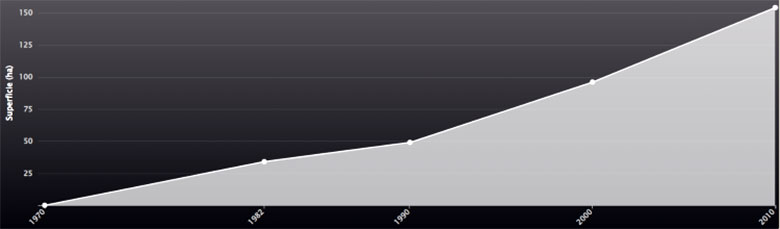 Andamento della superficie vitata