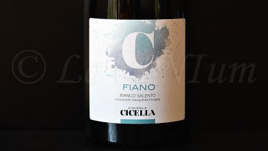 Fiano 2023 Vinicola Cicella